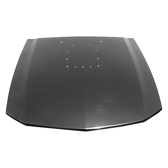 Hood Panel for Ford Mustang 2005-2009