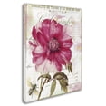 thumbnail image 3 of Trademark Fine Art "Pink Peony" Canvas Art by Color Bakery, 3 of 3