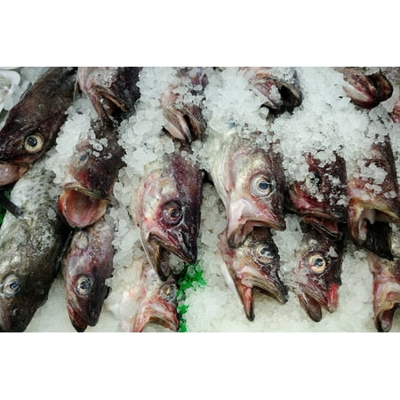 Food Stalls - Canvas Print Ice Food Healthy Seafood Market Stall Fish Fresh Stretched Canvas 10 x 14