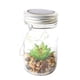 thumbnail image 1 of Lámpara solar colgante para plantas verdes, ideal para patio, jardín, plantas al azar, 10 LED, luz verde., 1 of 6