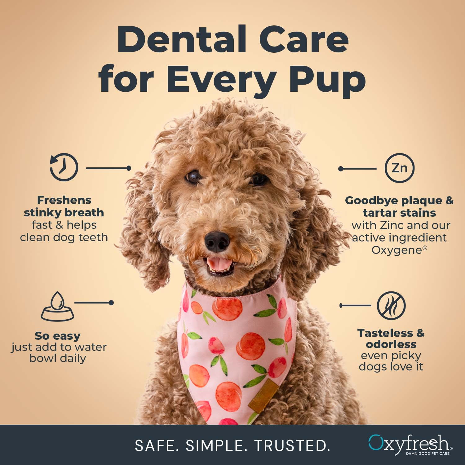 Oxyfresh Premium Dog Dental Water Additive, Best Way to Eliminate Bad Breath for Dogs, Teeth Cleaning Made Easy, 24 Ounce