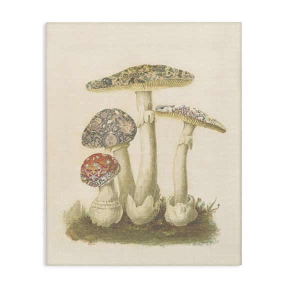 Stupell Industries Cottage Vintage Patterned Mushrooms Canvas Art, 24 x 30, by Lil' Rue