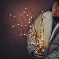 thumbnail image 3 of LED Branch Lamp Floral Lights 20 Bulbs Home Christmas Party Garden Mini Lights Battery Operated, 3 of 8