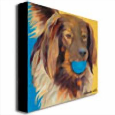 Trademark Art "Caleigh" Canvas Wall Art by Pat Saunders-White