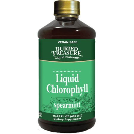 Buried Treasure Liquid Chlorophyll Vegan Dietary Supplement Spearmint All Natural 16 oz