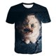 thumbnail image 1 of Camiseta con estampado 3D de dos gatos para hombre y mujer, camisa de manga corta, XXS, verano, 2021, 1 of 4