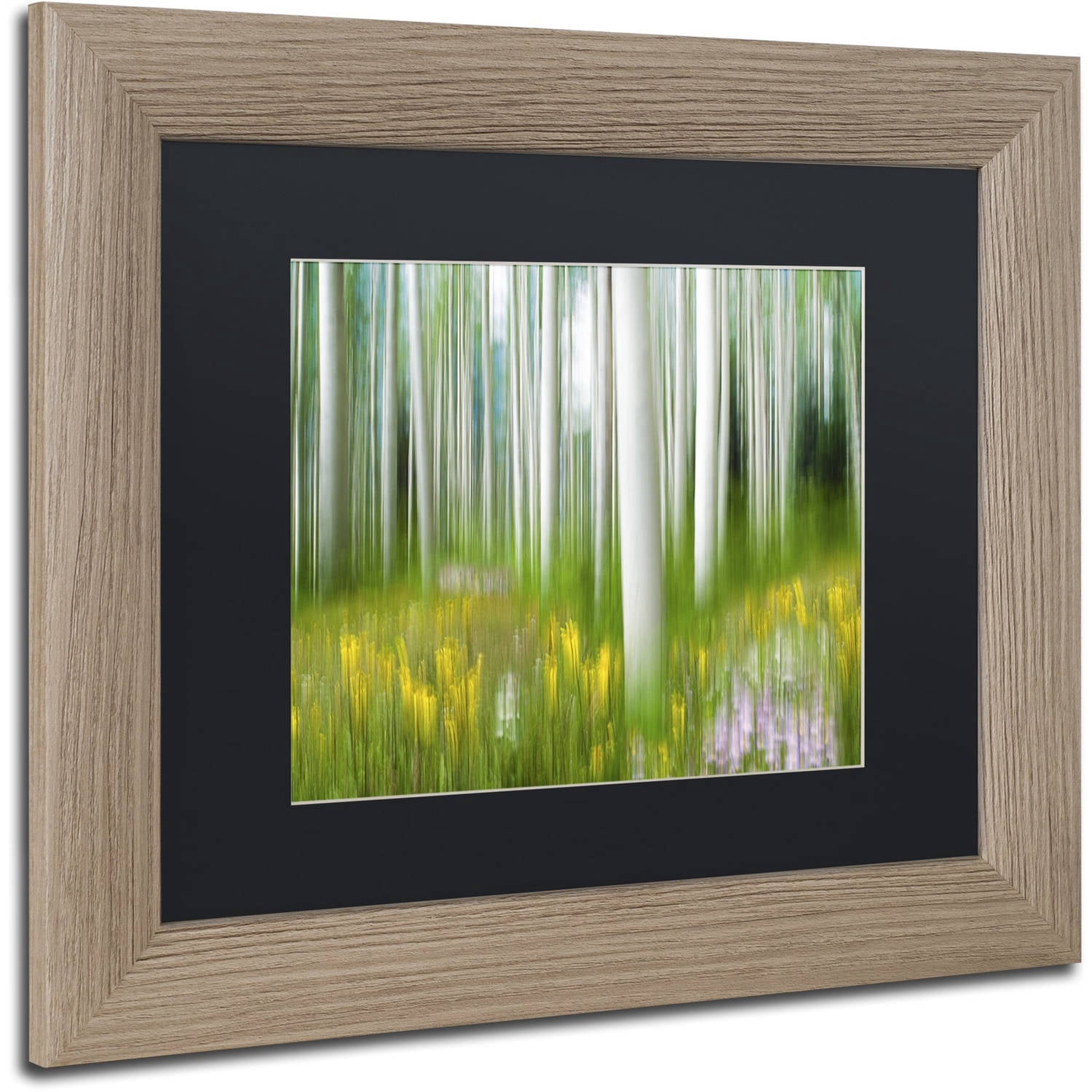 Trademark Fine Art "Aspen & Wildflower" Canvas Art by Michael Blanchette Photography Black Matte, Birch Frame