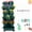 Green, variant on DUNCHATY 6-Tier Stackable Vertical Planter Tower with Removable Wheels & 25 Tools – Space-Saving Indoor/Outdoor Garden Pots for Strawberries, Herbs, Flowers & Vegetables (Red)