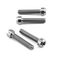 thumbnail image 2 of Titanium Pillion Footrest Hanger Bolt Kit Torx Drive (TIPREST440), 2 of 6