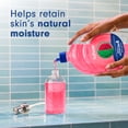 thumbnail image 5 of Softsoap Limited Edition Liquid Hand Soap, Watermelon Scent, 50 fl oz Refill Bottle, 5 of 14