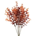 thumbnail image 1 of Hot6sl Ofertas de La Semana Plantas Coloridas, Plantas Hermosas, Plantas Hermosas, Flores Hermosas, Flores Hermosas, Decoraciones Hermosas, Flores Hermosas, 1 of 5