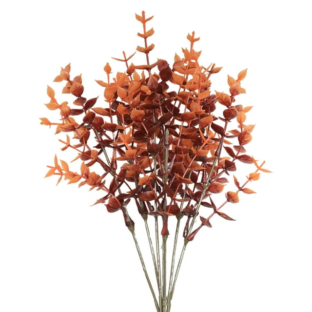 Hot6sl Ofertas de La Semana Plantas Coloridas, Plantas Hermosas, Plantas Hermosas, Flores Hermosas, Flores Hermosas, Decoraciones Hermosas, Flores Hermosas