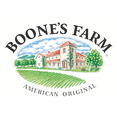 thumbnail image 2 of Boone's Farm Strawberry Daquiri Fruit Wine, 750ml Bottle, 2 of 6