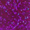 Purple, variant on L.A. COLORS Gel-like Nail Polish, Ravishing Gown, 0.44 fl oz