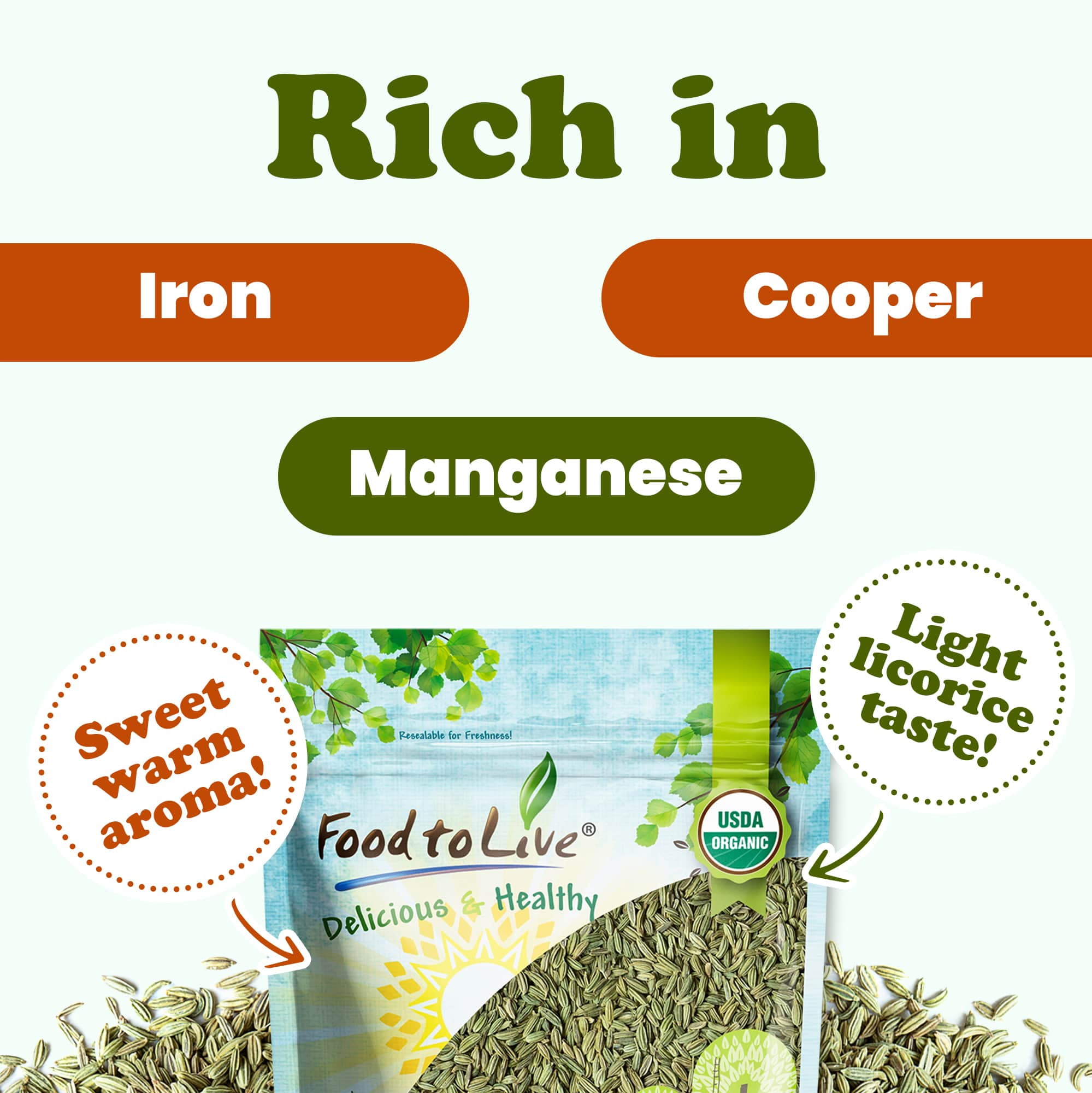Organic Fennel Seeds, 3 Pounds — Whole, Non-GMO, Kosher, Vegan, Bulk - Food to Live
