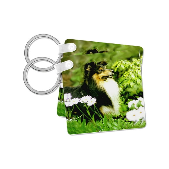 3dRose, Sheltie, set of 2 Key Chains