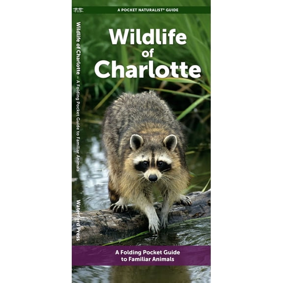 Nature Observation North : Charlotte Wildlife : A Folding Pocket Guide to Familiar Animals (Edition 1) (Other)