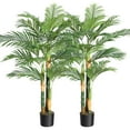 thumbnail image 1 of Set de 2 Palmeras Artificiales de Caña Dorada – Planta Exótica Falsa – Postes Resistentes – Hojas Realistas – Resistente UV – Interior y Exterior – Hogar y Oficina, 1 of 6
