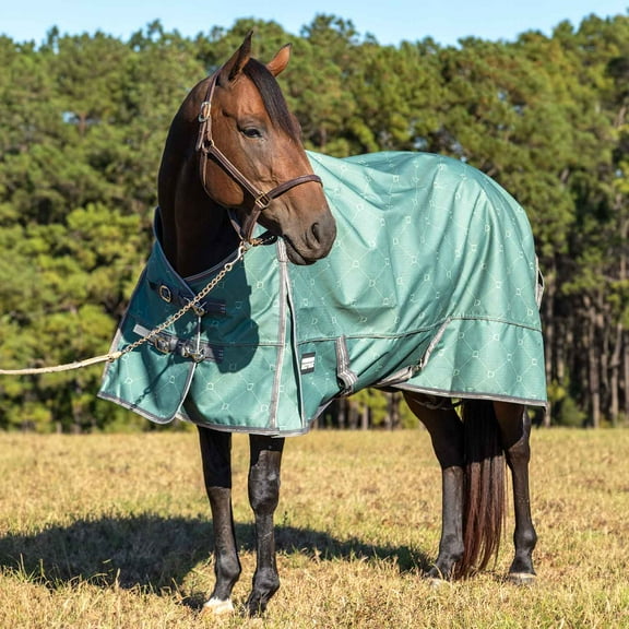 Jeffers Poplar Head 1200 Denier Turnout Sheet for Horses, 0g Polyfill, 75"- Waterproof Lightweight Horse Blanket, Adjustable Chest Belly Straps, Tail Flap, Stable Blanket - Spruce Stirrup Irons