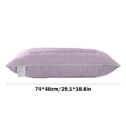 ZZkhGO Buckwheat Hull Pillow, Soft Dormitory Pillow Core for Home, Adjustable Support Pillow for Sleep