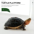 thumbnail image 4 of BESTYASH 2Pack Random Color Turtle Ramps for Reptile Pets 14.00X8.00X5.00CM, 4 of 6