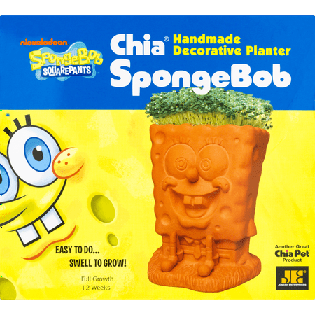 As Seen on TV Chia Pets-SpongeBob, Scooby-Doo, Hello Kitty, Puppy and More