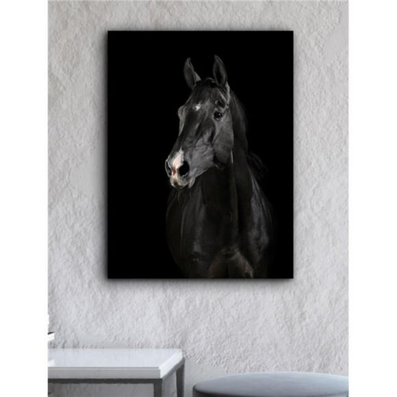 Artful Printers C-20301929 Toile Visage de Cheval Noir, 20 x 30 Po