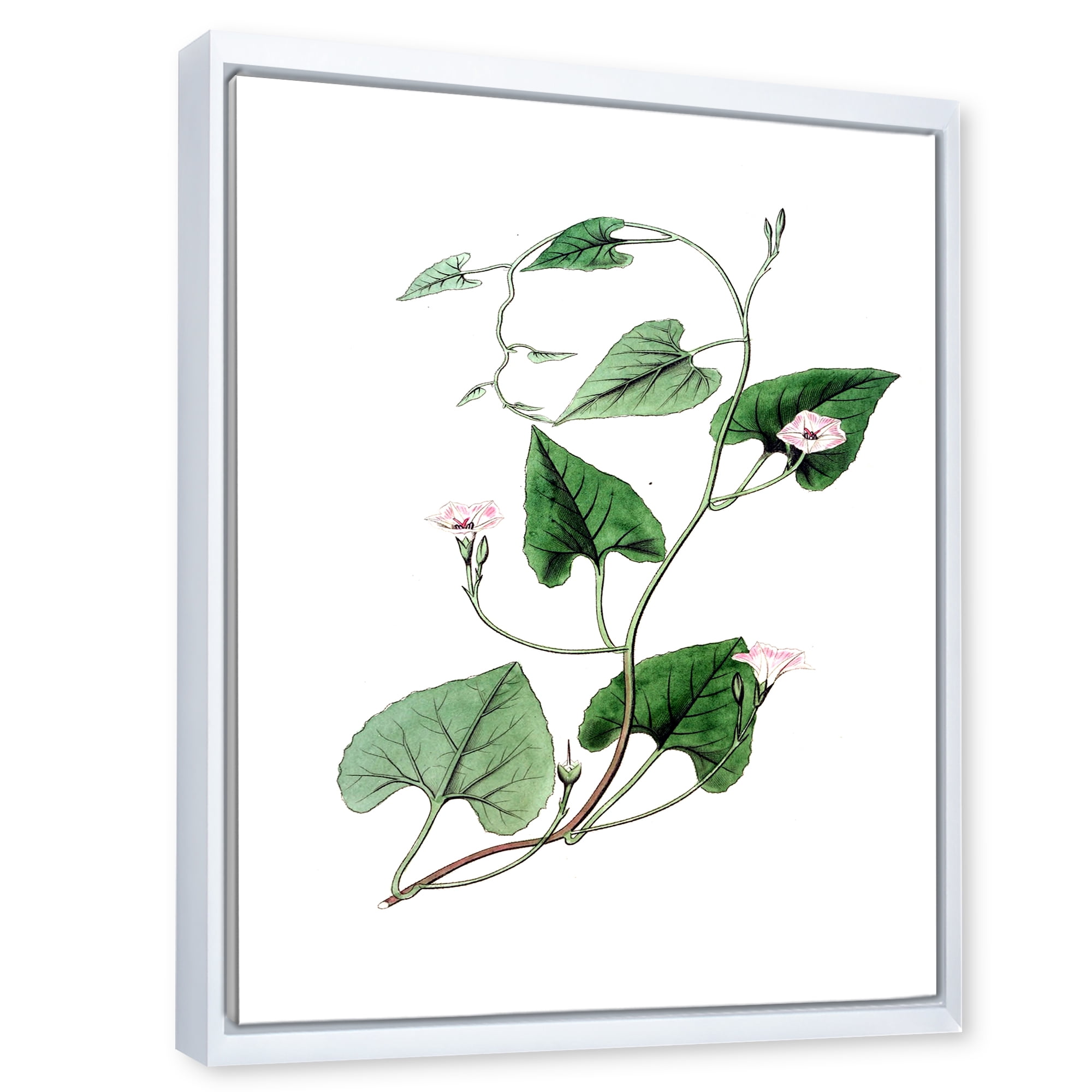 Designart 'Ancient Green Leaves Plants IX' Traditional Framed Canvas Wall Art Print