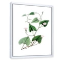 thumbnail image 3 of Designart 'Ancient Green Leaves Plants IX' Traditional Framed Canvas Wall Art Print, 3 of 5