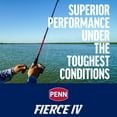 thumbnail image 2 of PENN Fierce IV Spinning Reel, 1000 Size Fishing Reel, 2 of 8