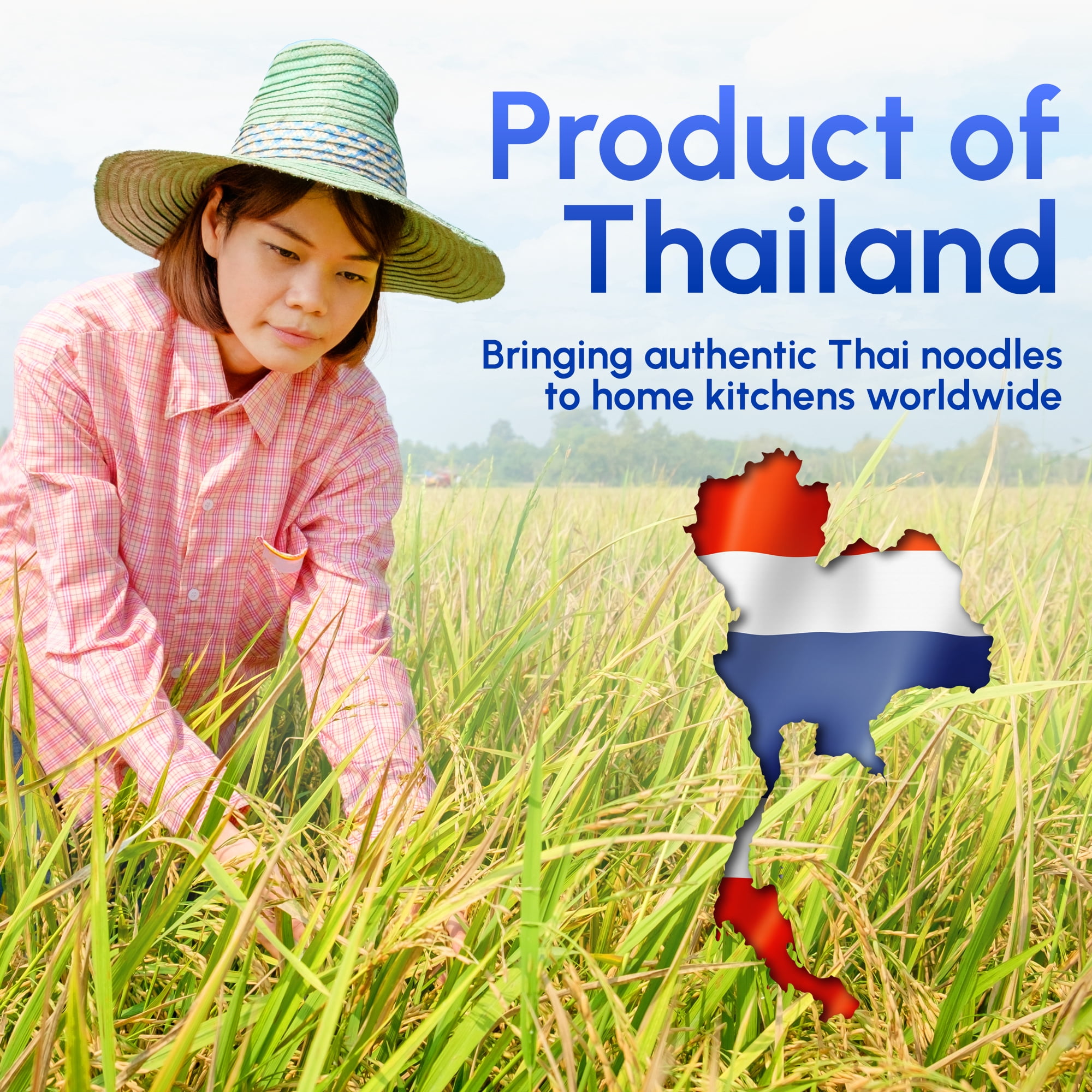 (2 pack) Snackathon Pad Thai Style Rice Stick Noodles, 10 mm Width, 16 oz (Pack of 2)