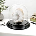 thumbnail image 2 of Plymor 5.5" x 5.5" Glass Display Dome Cloche (Black Wood Veneer Base), 2 of 2