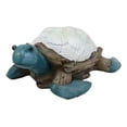 thumbnail image 1 of Nautical Sea Turtle With White Clam Shells In Faux Distressed Wood Finish Statue, 1 of 4