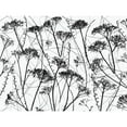 thumbnail image 3 of Frank, Assaf 18x15 Black Modern Framed Museum Art Print Titled - Silhouette of dried plants, 3 of 5