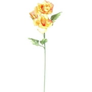 Teters Floral Rose Tangerine