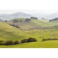 thumbnail image 2 of Paulson, Don 14x11 Gold Ornate Wood Framed with Double Matting Museum Art Print Titled - USA, California, Olema Landscape of farm fields, 2 of 4