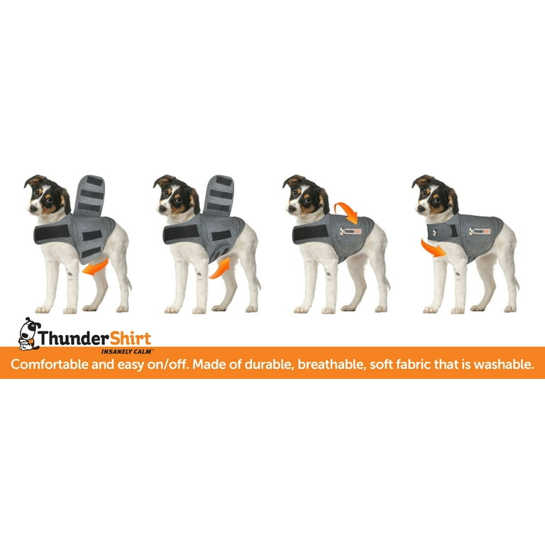 Can A Dog Sleep In A Thundershirt