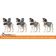 ThunderShirt Anxiety Jacket for Dogs, Heather Grey, Medium