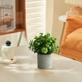 thumbnail image 6 of DcGZvy Artificial Plants Fake Plants Cute Faux Plants Indoor Spring Office Decor for Women Trendy Table Decor Home Decor Women Savings, 6 of 6