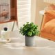 thumbnail image 4 of Planta artificial en maceta | Arreglo floral de simulación realista | Jarrón de plástico resistente | 5.12x5.12x4.33 pulgadas | Decoración de interiores para salones y oficinas | Bajo mantenimiento, 4 of 6