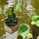 thumbnail image 4 of Adorno de resina CUTICAT Rana flotante para estanque y piscina, 4 of 8