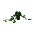 thumbnail image 1 of Planta Artificial Home Trends 25x20 cm Maceta Negra, 1 of 4