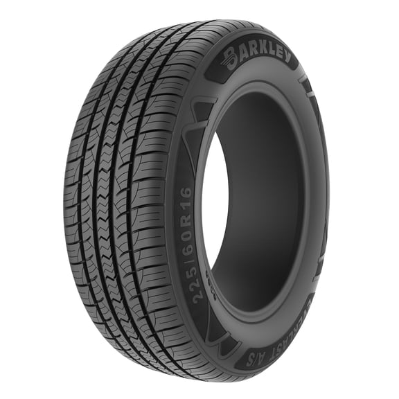 Barkley Everlast 205/55R16 91V All Season Tire