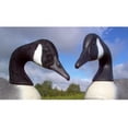 thumbnail image 3 of Canada Goose Decoy Flocking Kit Large 100 Decoy Heads, 3 of 3