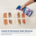 thumbnail image 3 of Woolite Fresh Blossoms Scent Pet Stain & Odor Remover + Oxy, 22 fl oz, 3 of 8