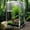 3.15*3.15*5.9(in), variant on Reptile Terrarium Enclosure 360 Degree Clear Ventilated Rotating Lock Door Escape Proof Acrylic for Spiders Mantises Snails Scorpions Lizards Geckos Small