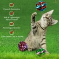 SunGrow Kitty Crinkle Balls, Indoor Toys for Cat & Kitten, 12 count