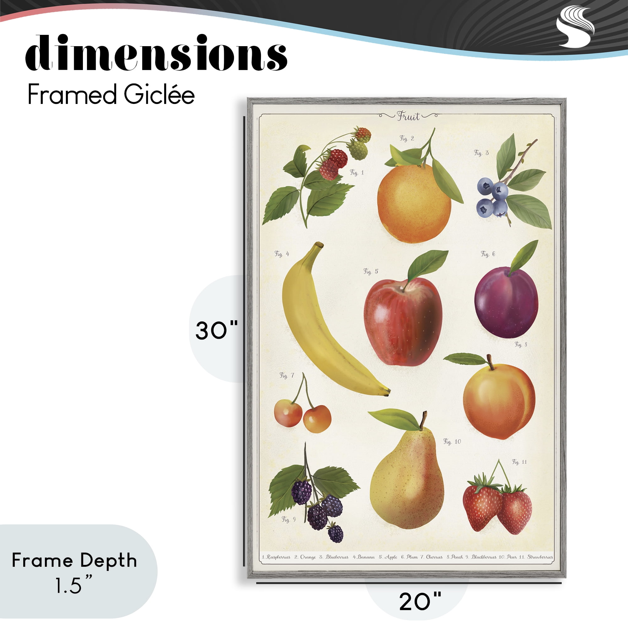 Stupell Industries Fruit Collection Studies Gray Framed Giclee Art, design by Diane Neukirch