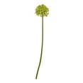 thumbnail image 3 of Hill Interiors Allium Stem Artificial Plant, 3 of 5