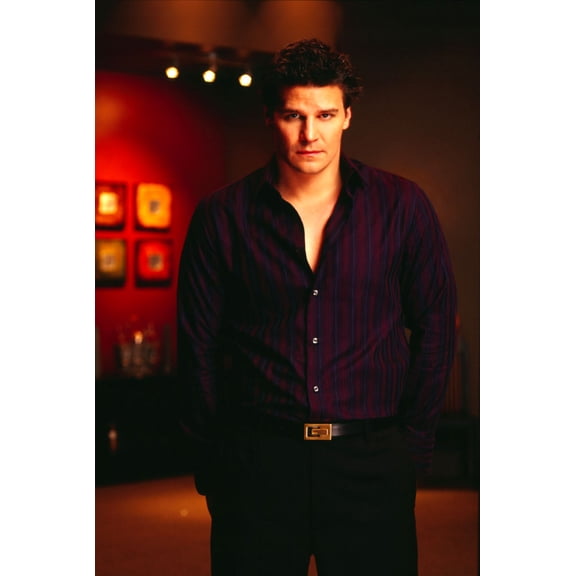 David Boreanaz Poster Angel Wolfram And Hart Art Poster 24x36 Multi-Color Square Adults Best Posters